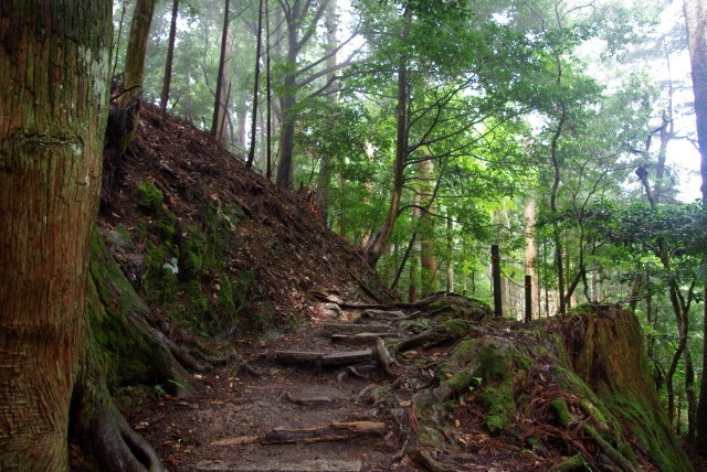 鞍馬山・木の根道