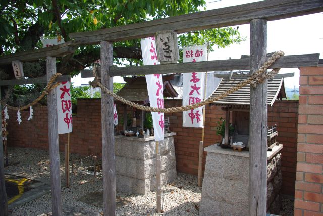 たま大明神