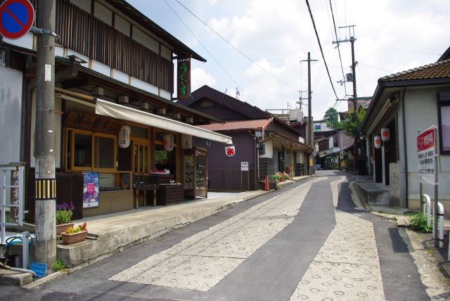 吉野山の道