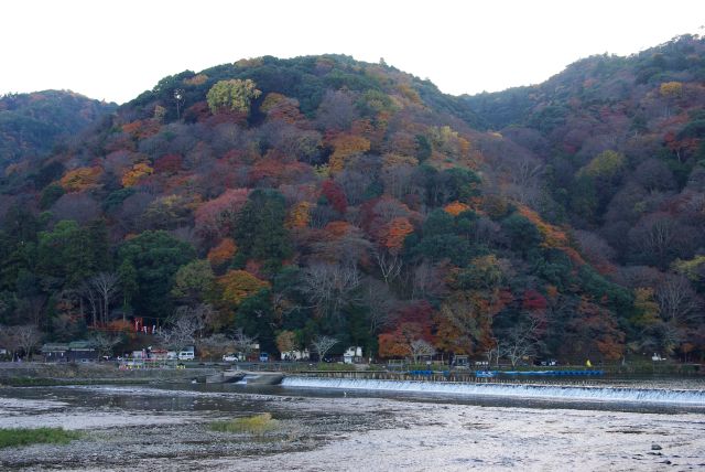 嵐山の紅葉