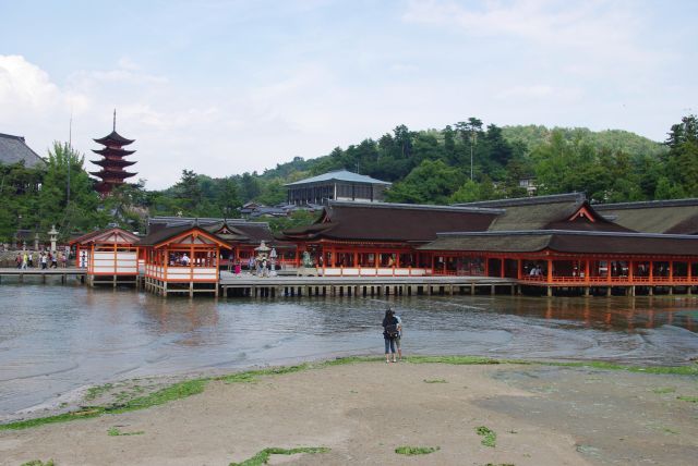 先の松林の海岸からの厳島神社