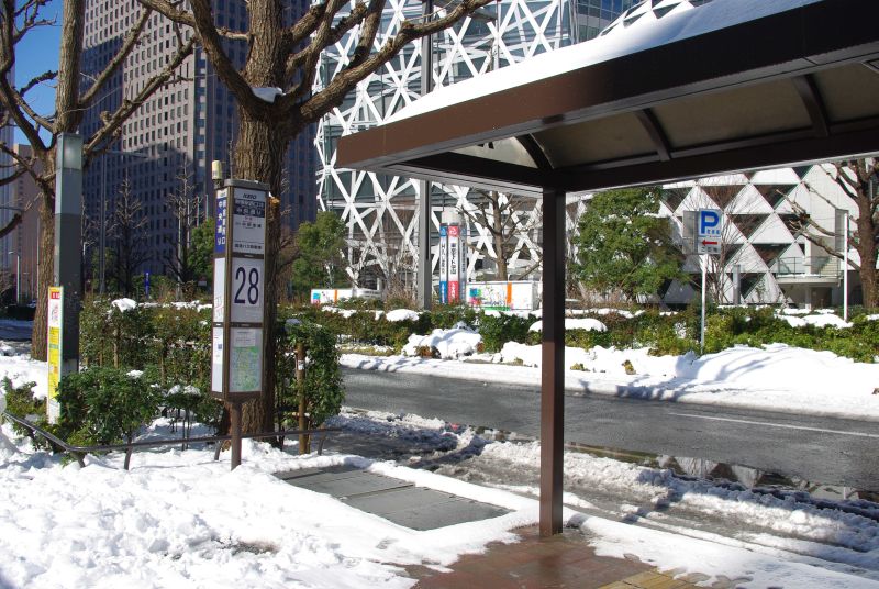 雪の新宿