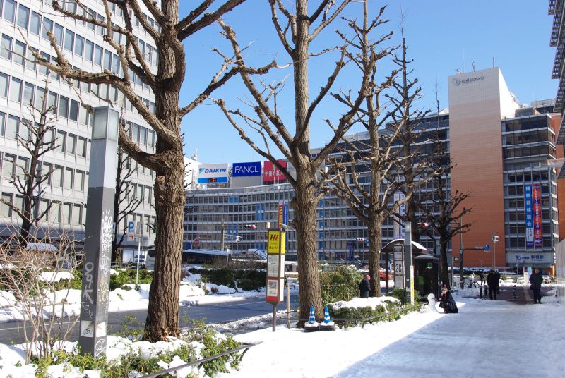 雪の新宿