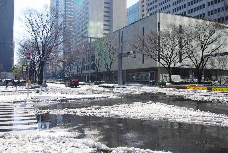 雪の新宿