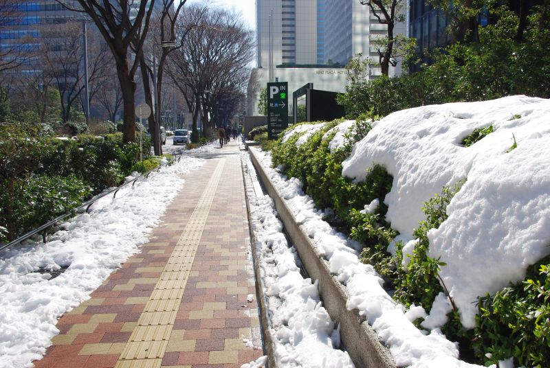 雪の新宿