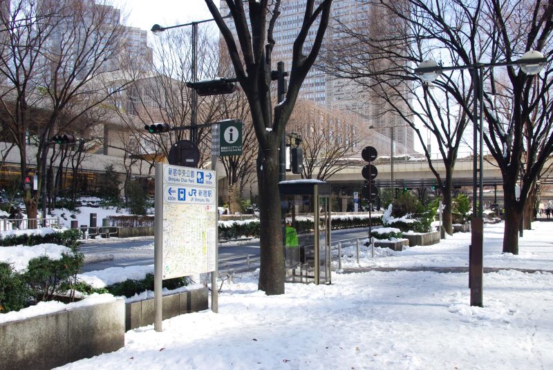 雪の新宿