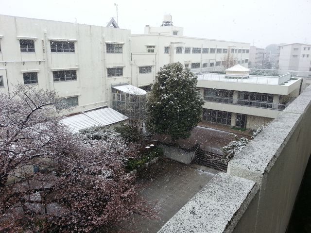 雪