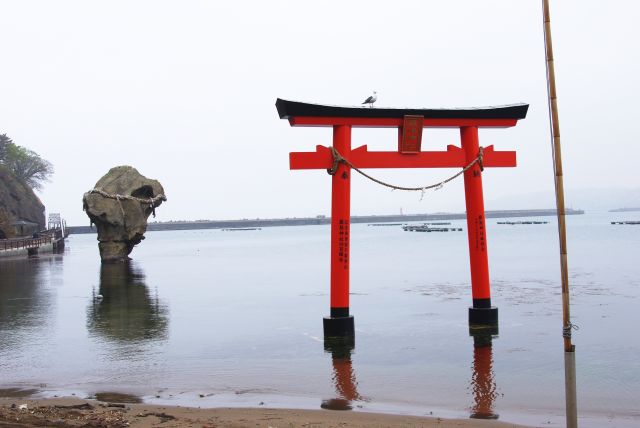 かもめ島