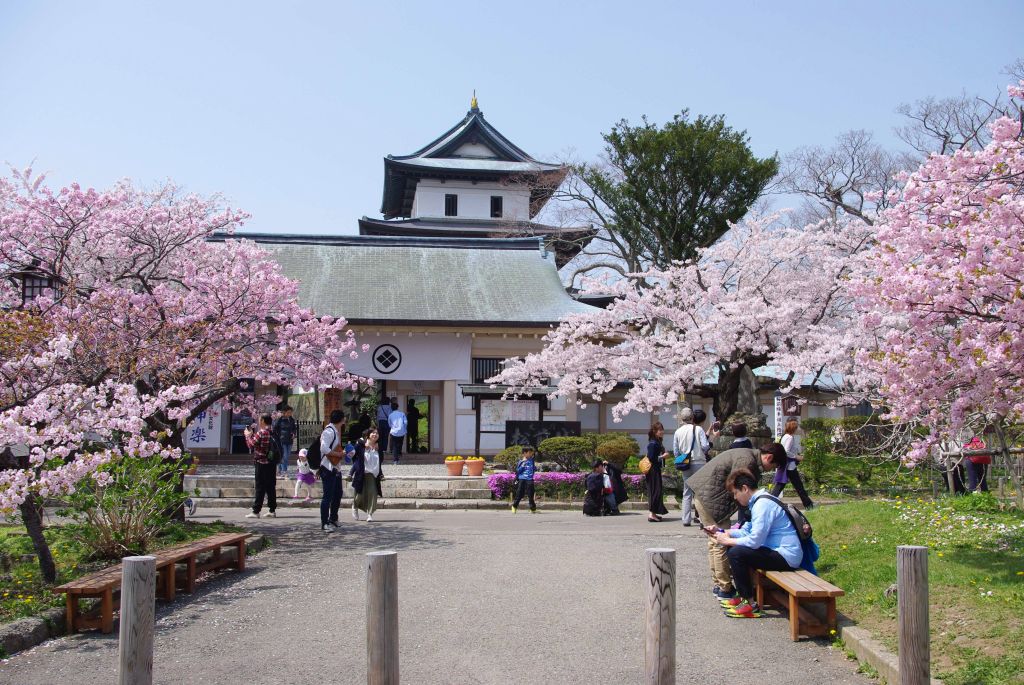 松前城・搦手二ノ門前と両脇の桜