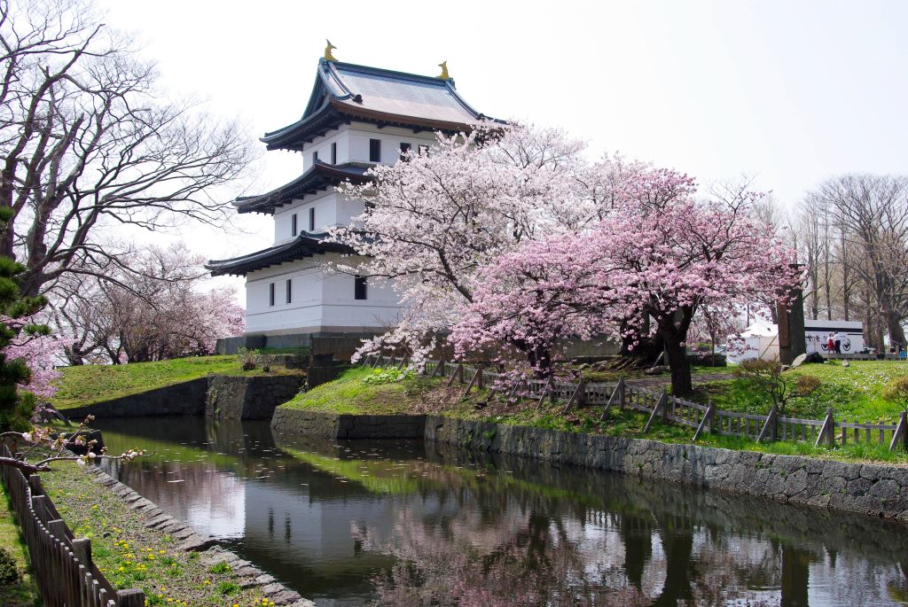 松前城・天守と内堀と桜