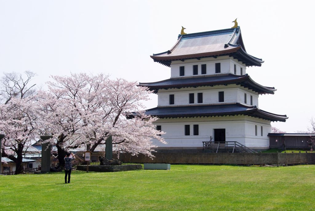 松前城・北側の広場寄り・天守と桜