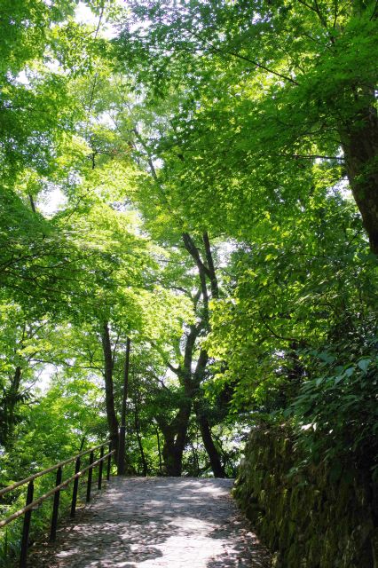 越前大野城