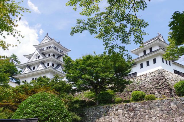 郡上八幡城