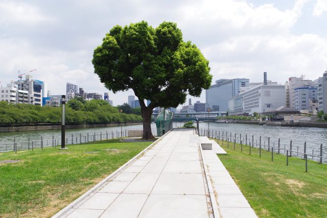 中之島公園・剣先