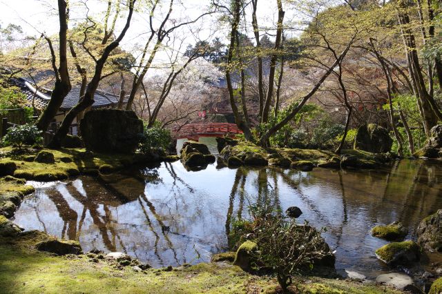 醍醐寺