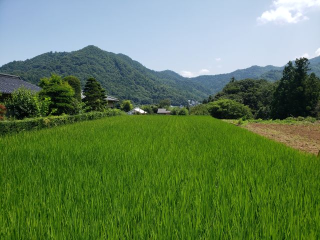 田園風景