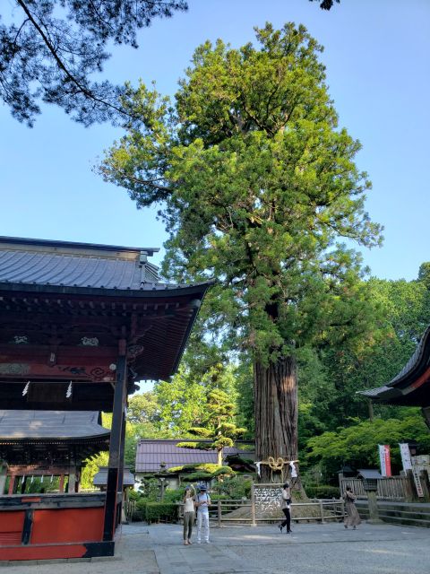 北口本宮冨士浅間神社