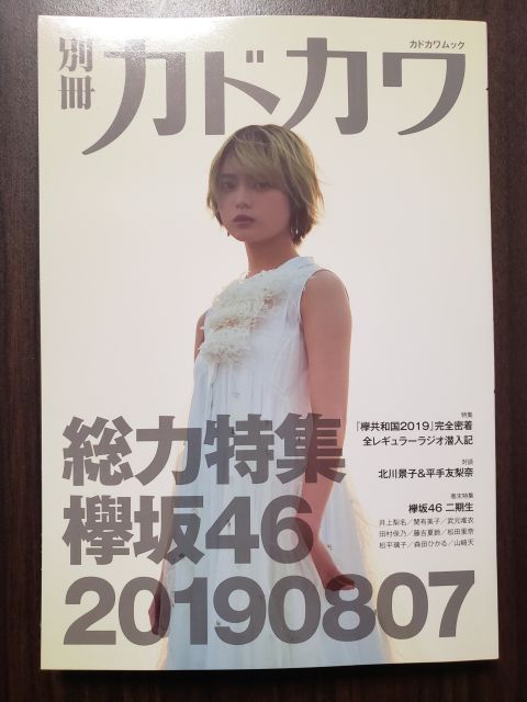 別冊カドカワ・平手