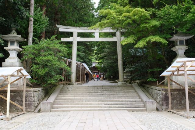 弥彦神社