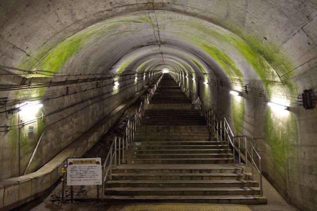 土合駅下りホームの階段