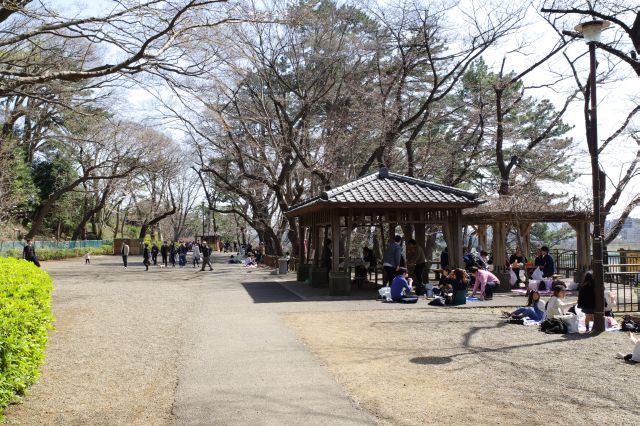 多摩川台公園・憩う人々