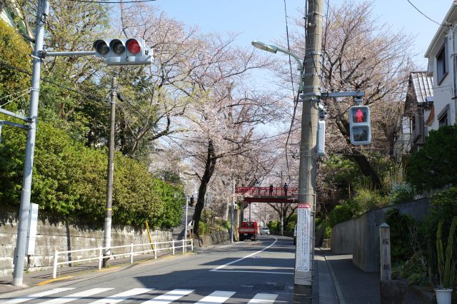 桜坂手前