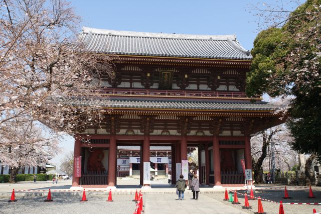 池上本門寺・大きな門