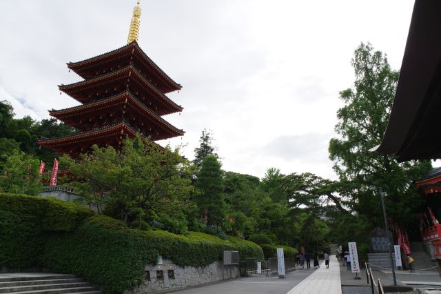 高幡不動尊・境内