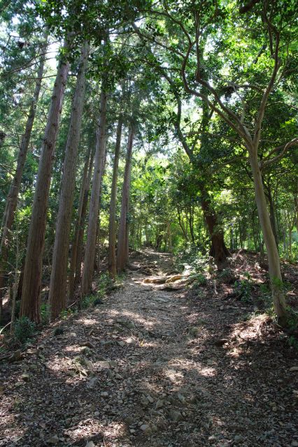 八王子城跡・要害地区