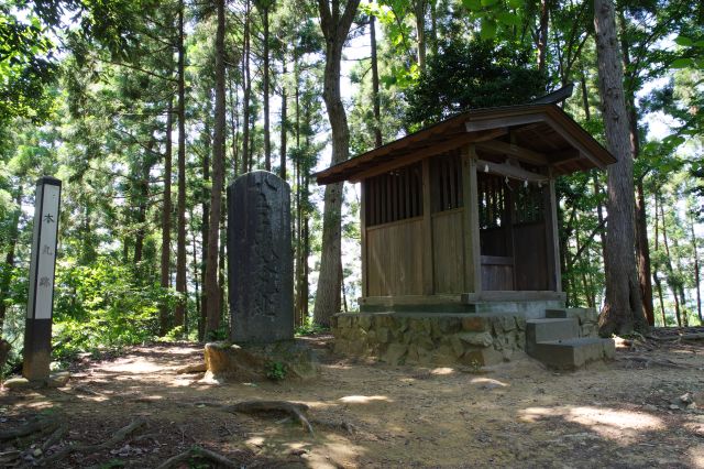 八王子城跡・本丸