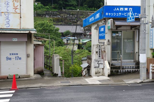 氷川渓谷遊歩道・日原川沿い