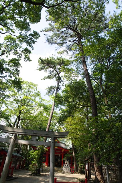 六所神社・自然豊かな境内