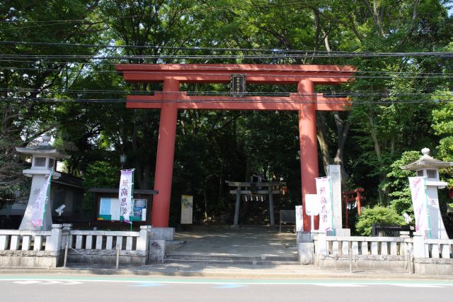 世田谷八幡宮・鳥居前