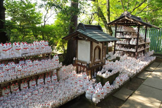 豪徳寺・招福猫児