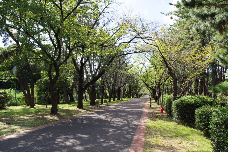 辰巳の森緑道公園