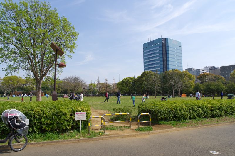 木場公園