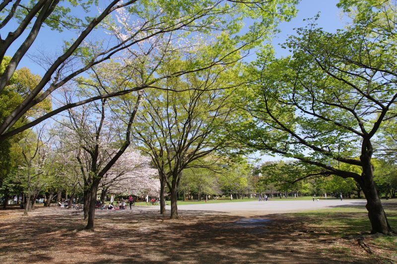 清澄公園