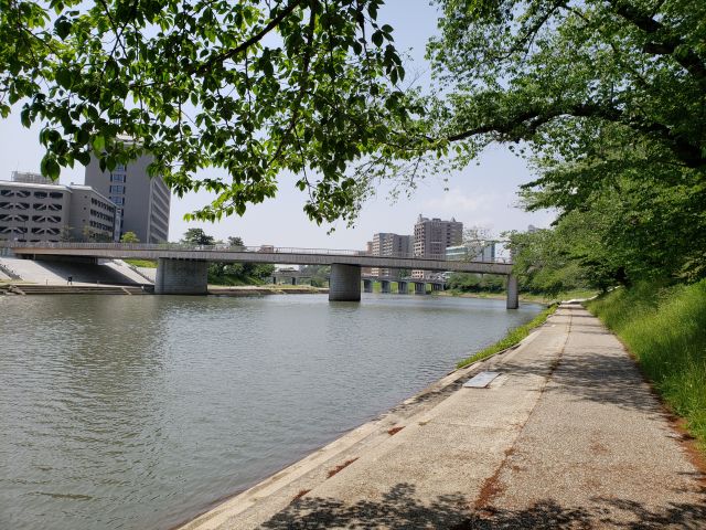 東岡崎駅付近の乙川