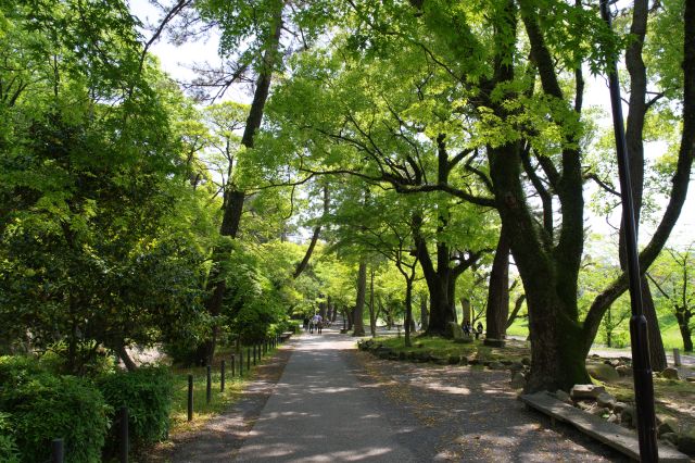 岡崎公園・岡崎城