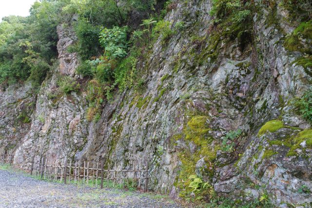 岐阜公園・織田信長公居館跡