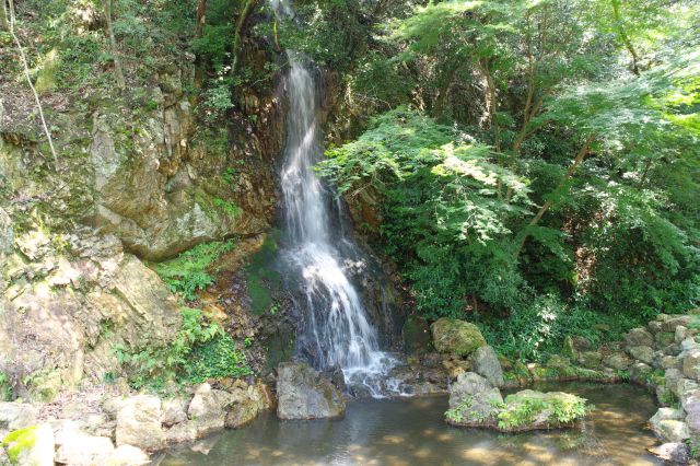 岐阜公園・御手洗池