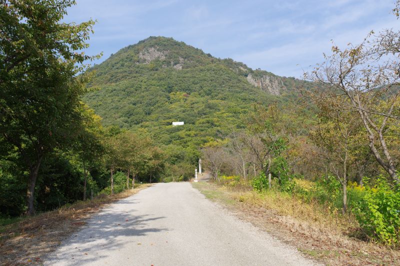 高屋神社・登山