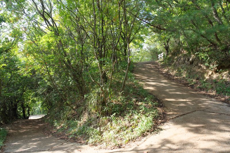 高屋神社・登山