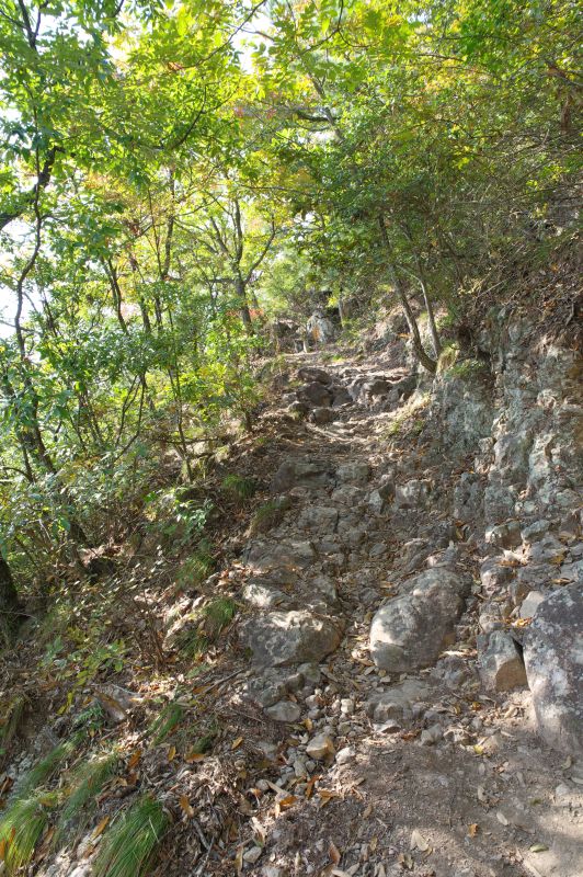 高屋神社・登山