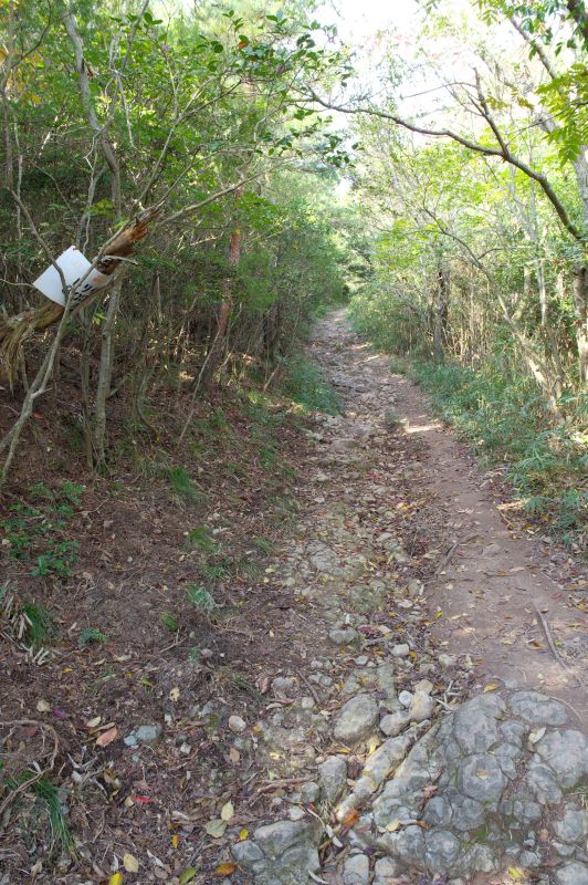 高屋神社・登山