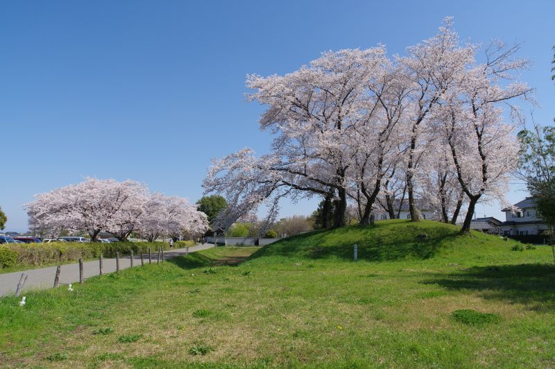 さきたま古墳公園