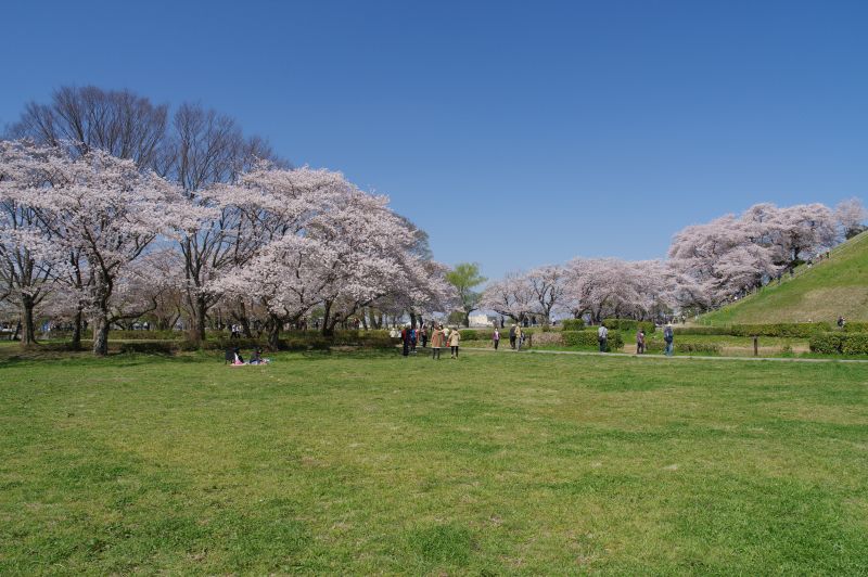 さきたま古墳公園