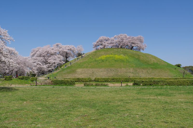 さきたま古墳公園