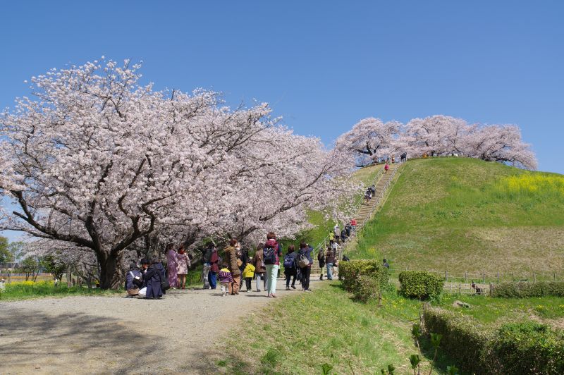 さきたま古墳公園