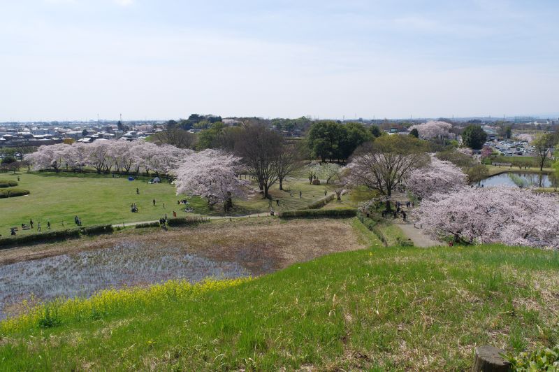 さきたま古墳公園